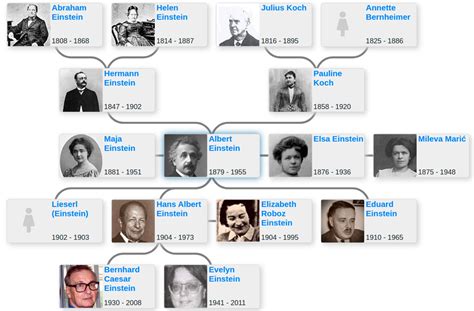 albert einstein family tree 2022.